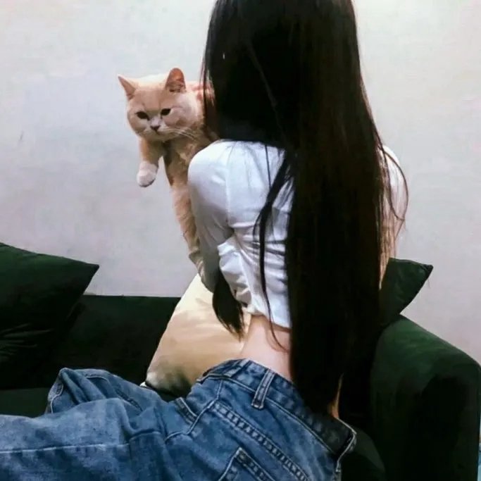 李瑞镇的纽约纽约2